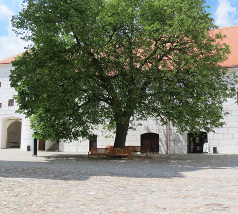 Turistické informační centrum Bazilika