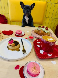 Nabídka naSlano & naSladko