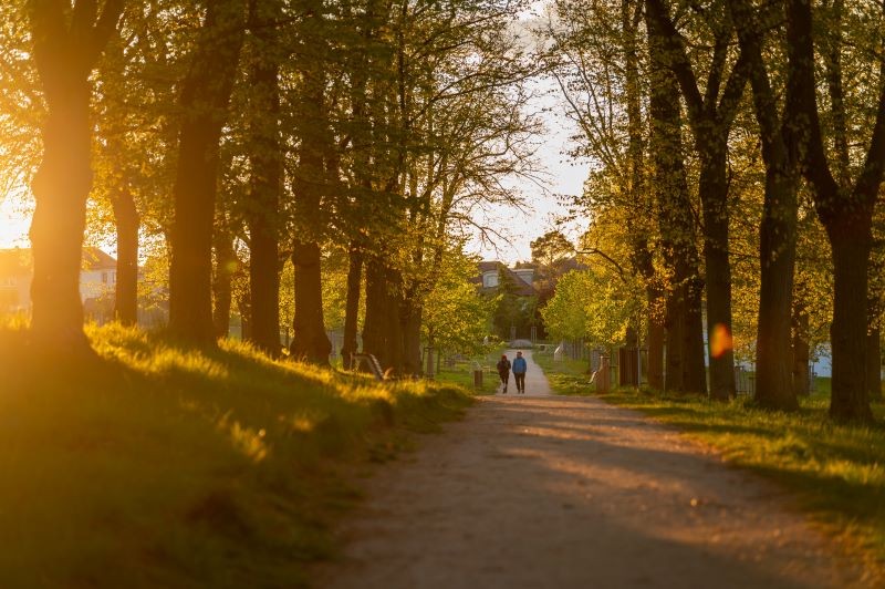 Lesopark Hrádek: fotopoint, výhledy i naučná stezka