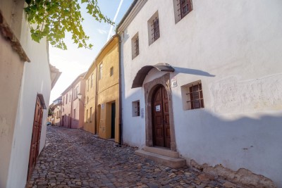 Zadní synagoga