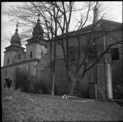 Stromy před vykácením, muzeum Vysočiny Třebíč