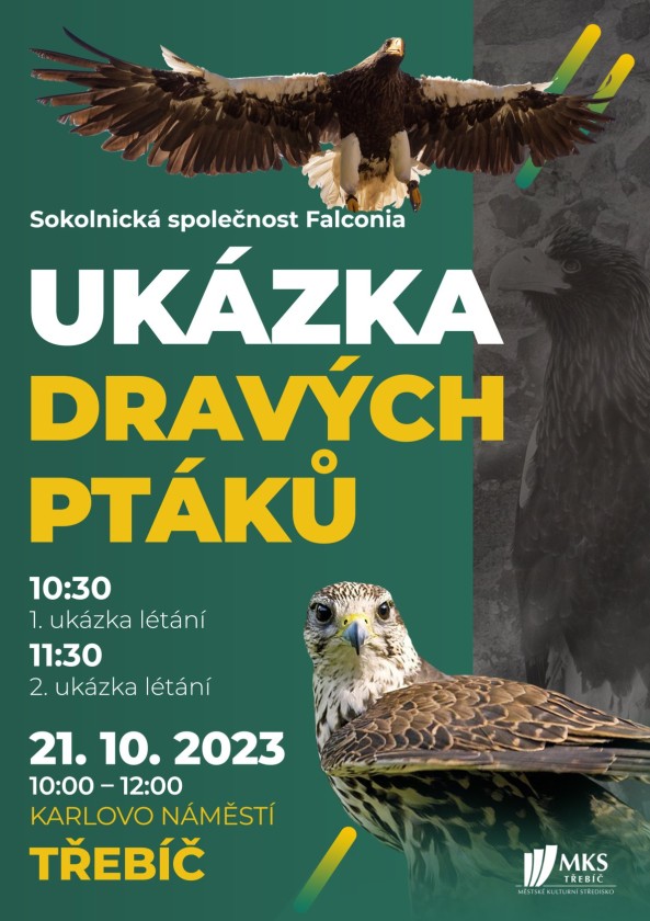 UKÁZKA DRAVÝCH PTÁKŮ