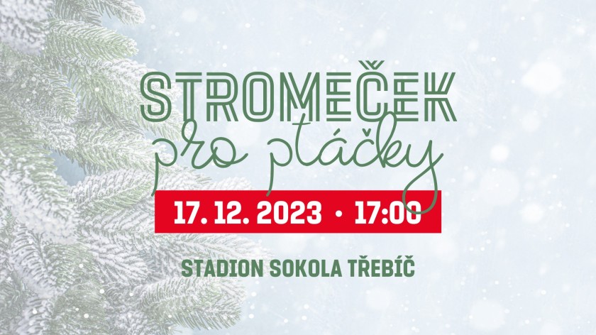 STROMEČEK PRO PTÁČKY