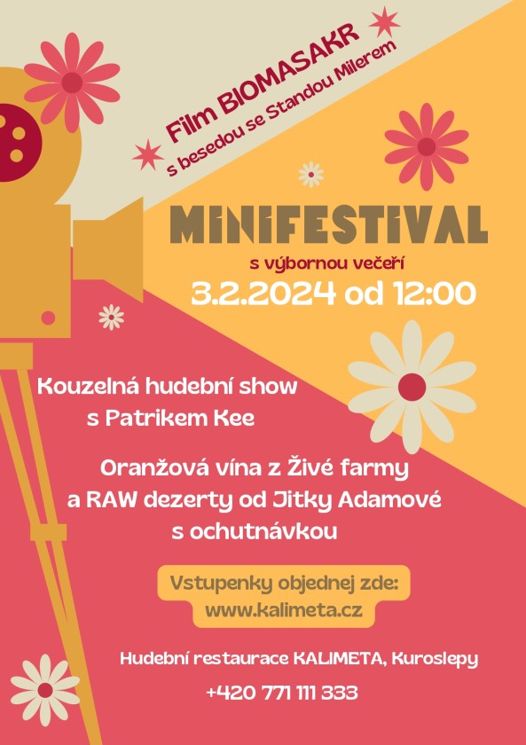MINIFESTIVAL