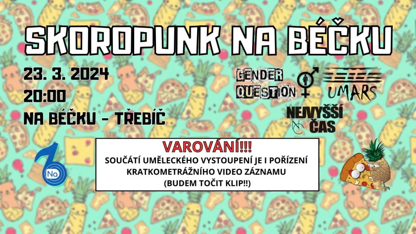 SKOROPUNK NA BÉČKU