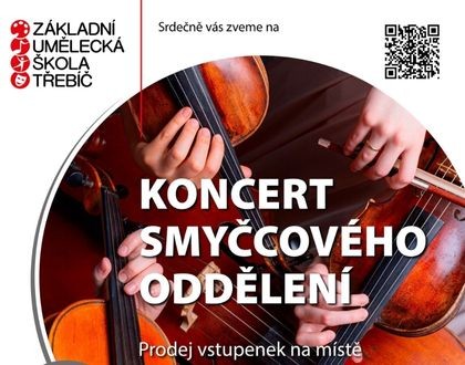 Koncert smyčcového oddělení