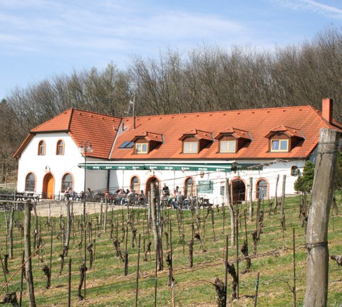 An Hošťanka vorbei zum Weinberg