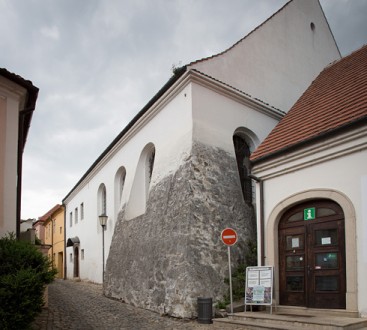Zadní synagoga