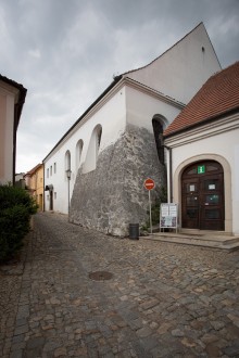 Zadní synagoga