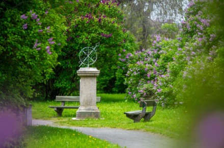 Tyršovy sady Třebíč