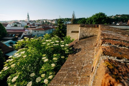 Výhled na město Třebíč ze zámeckého areálu