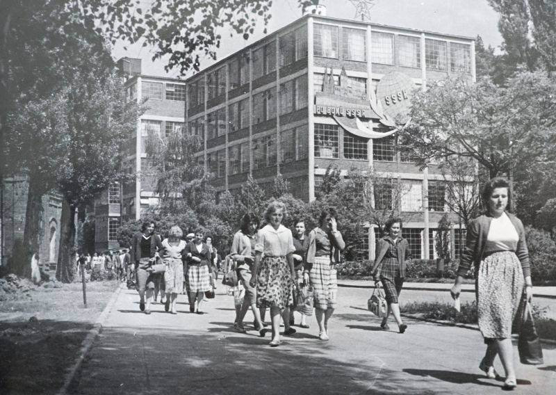 Borovina v Třebíči znovu ožívá