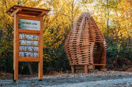 Ptačí hnízdo na stezce na Pekelný kopec Třebíč