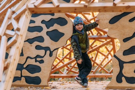 Mraveniště na stezce na Pekelný kopec Třebíč