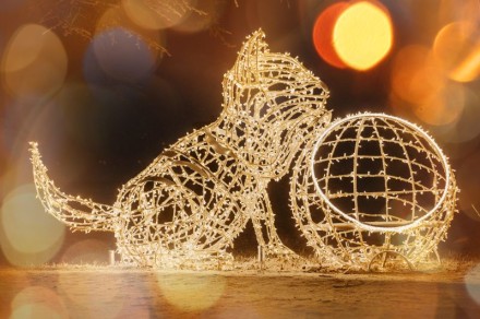 Vánoční Třebíč 2025