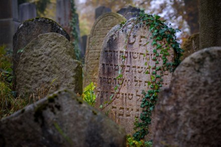 Židovský hřbitov Třebíč - náhrobky