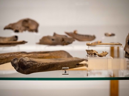 Zmizelá Třebíč: archeologické nálezy