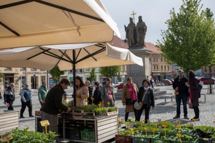 Třebíčský jarmark