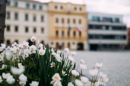 Rozkvetlé Karlovo náměstí