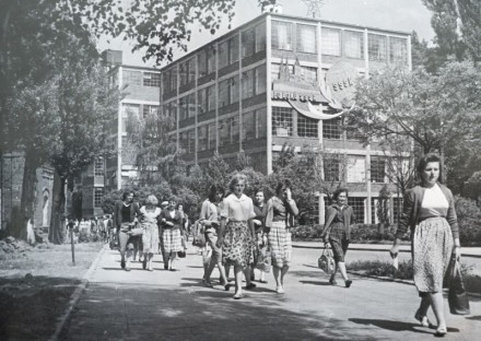 Borovina - období socialismu